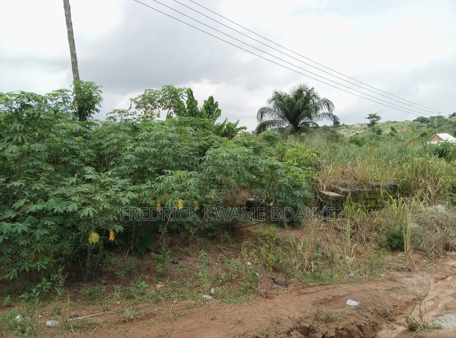 Half Plot of Land for Sale at Ipt Bokankye