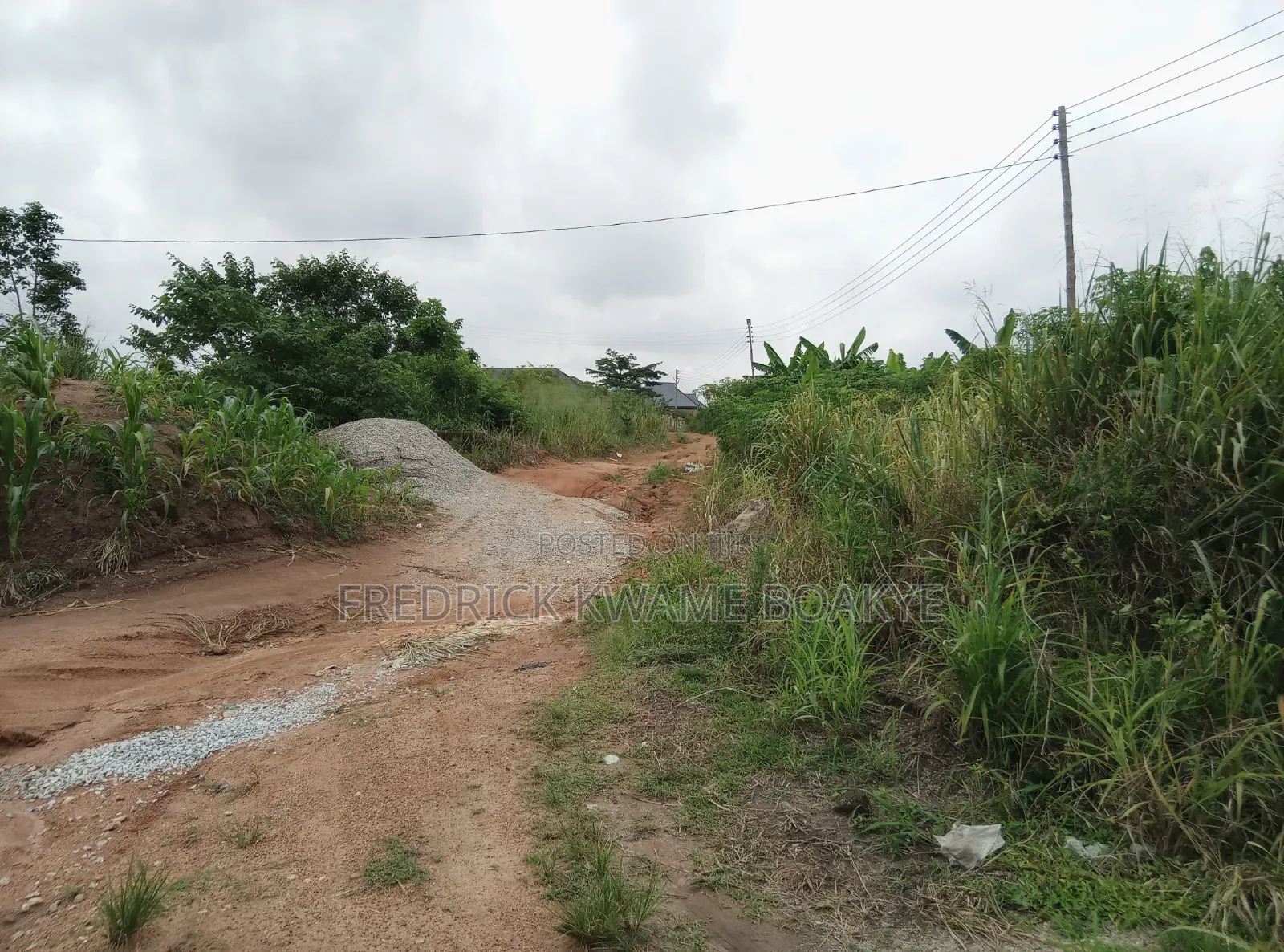 Half Plot of Land for Sale at Ipt Bokankye