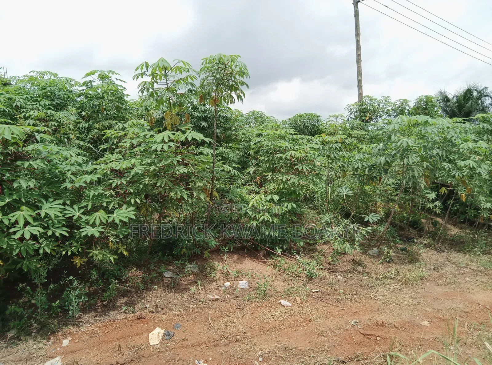 Half Plot of Land for Sale at Ipt Bokankye