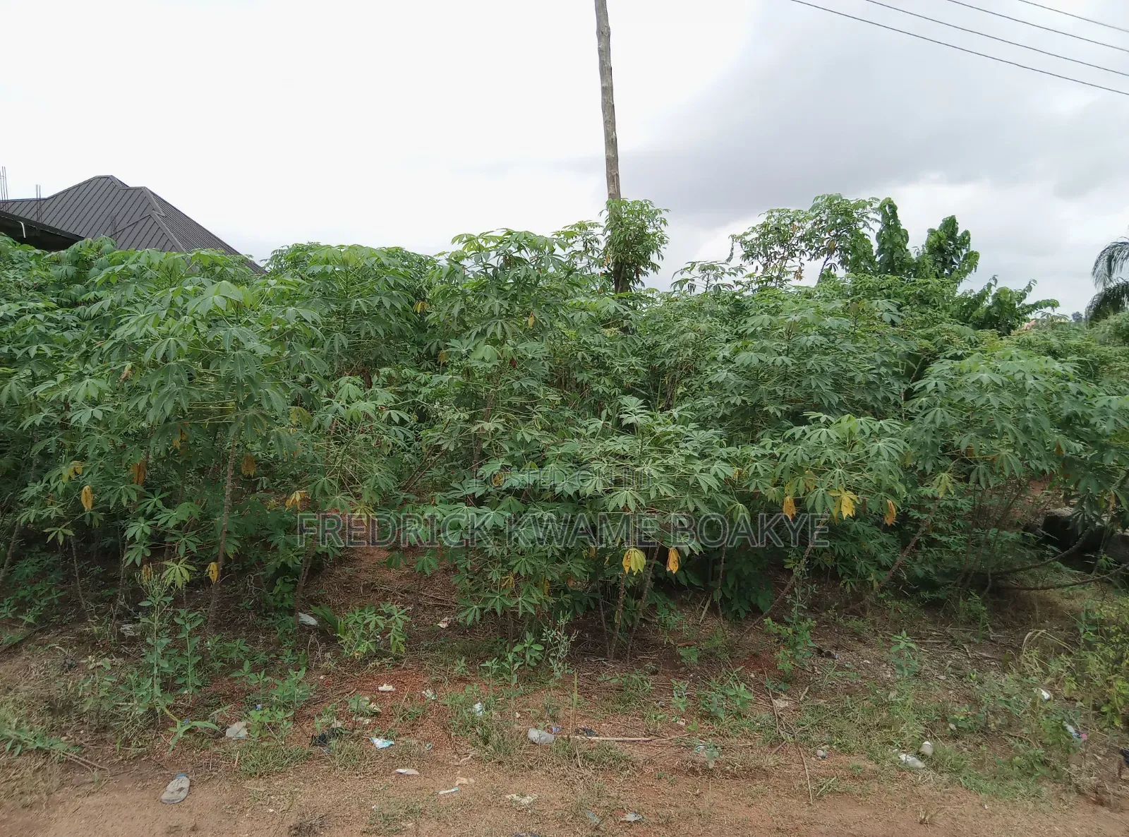 Half Plot of Land for Sale at Ipt Bokankye