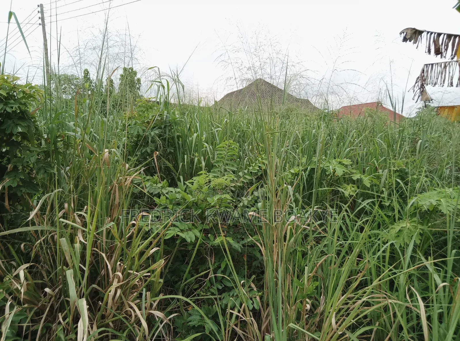 Half Plot of Land for Sale at Ipt Bokankye