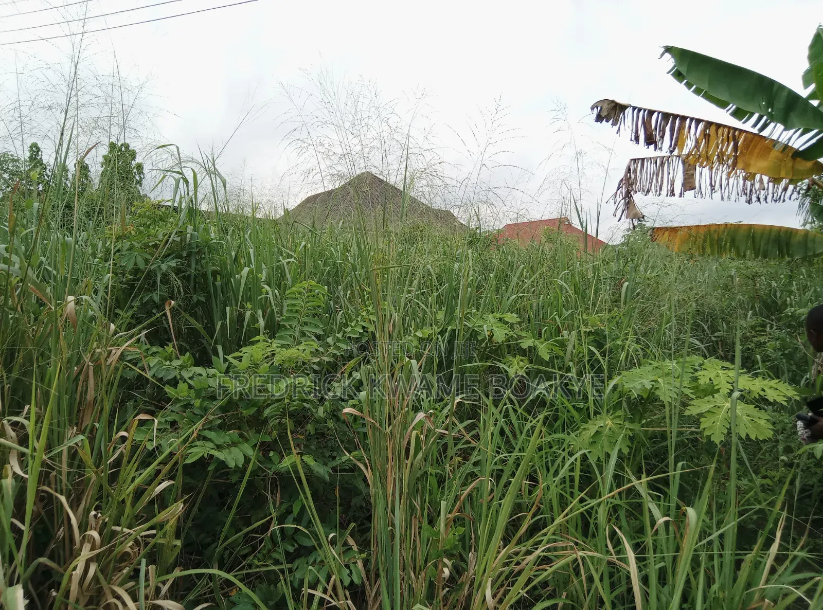 Half Plot of Land for Sale at Ipt Bokankye