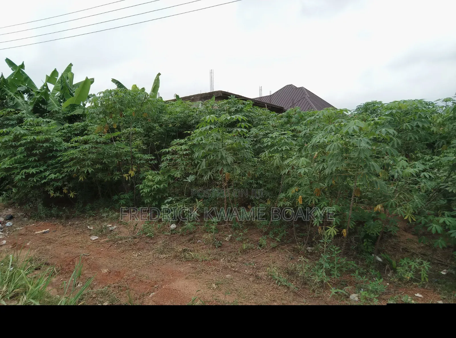 Half Plot of Land for Sale at Ipt Bokankye