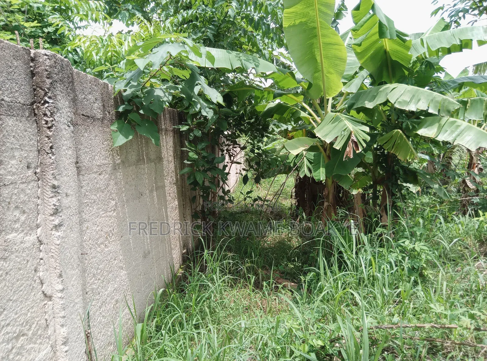 2 Plots of Hotel Land for Sale at Ipt Nyankyereniase