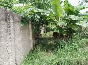 2 Plots of Hotel Land for Sale at Ipt Nyankyereniase