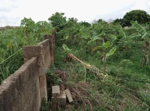 2 Plots of Hotel Land for Sale at Ipt Nyankyereniase