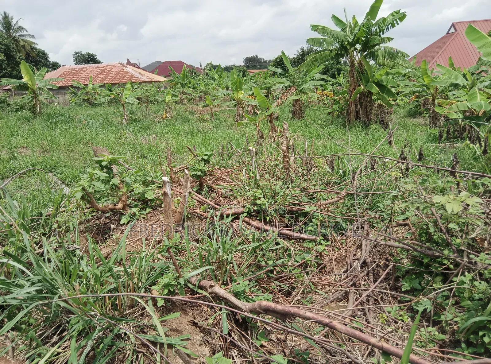 2 Plots of Hotel Land for Sale at Ipt Nyankyereniase