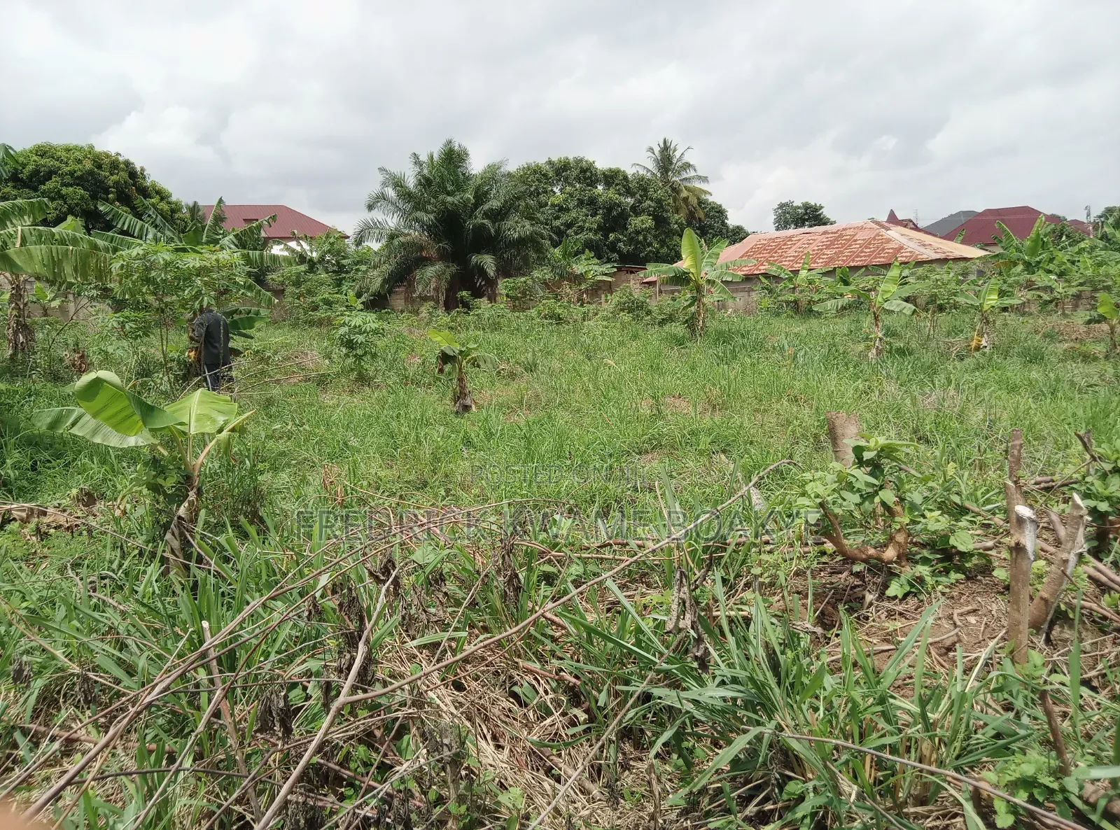 2 Plots of Hotel Land for Sale at Ipt Nyankyereniase