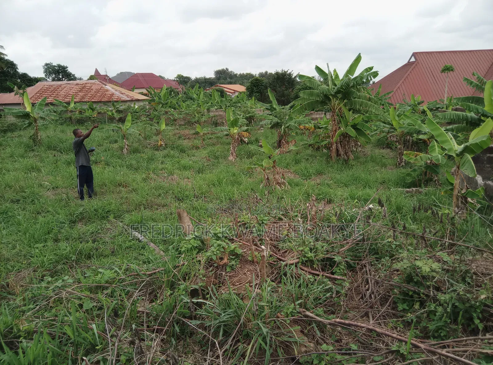 2 Plots of Hotel Land for Sale at Ipt Nyankyereniase
