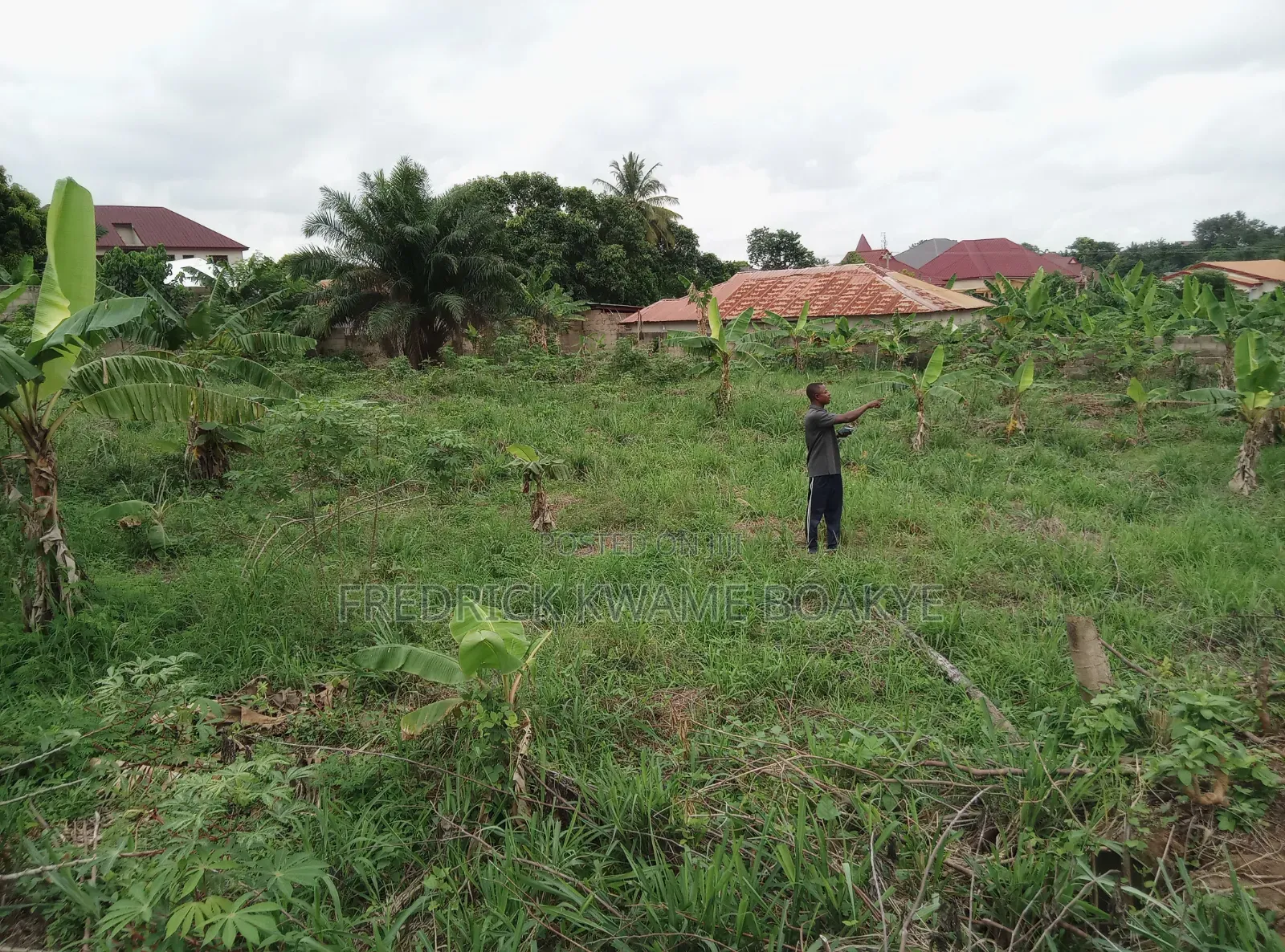 2 Plots of Hotel Land for Sale at Ipt Nyankyereniase