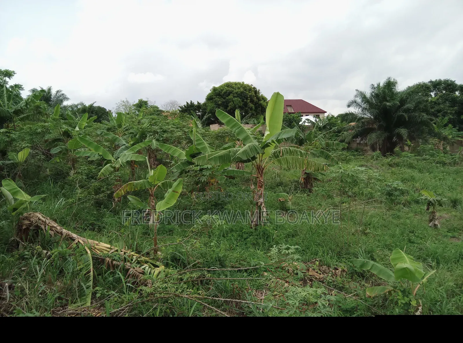2 Plots of Hotel Land for Sale at Ipt Nyankyereniase