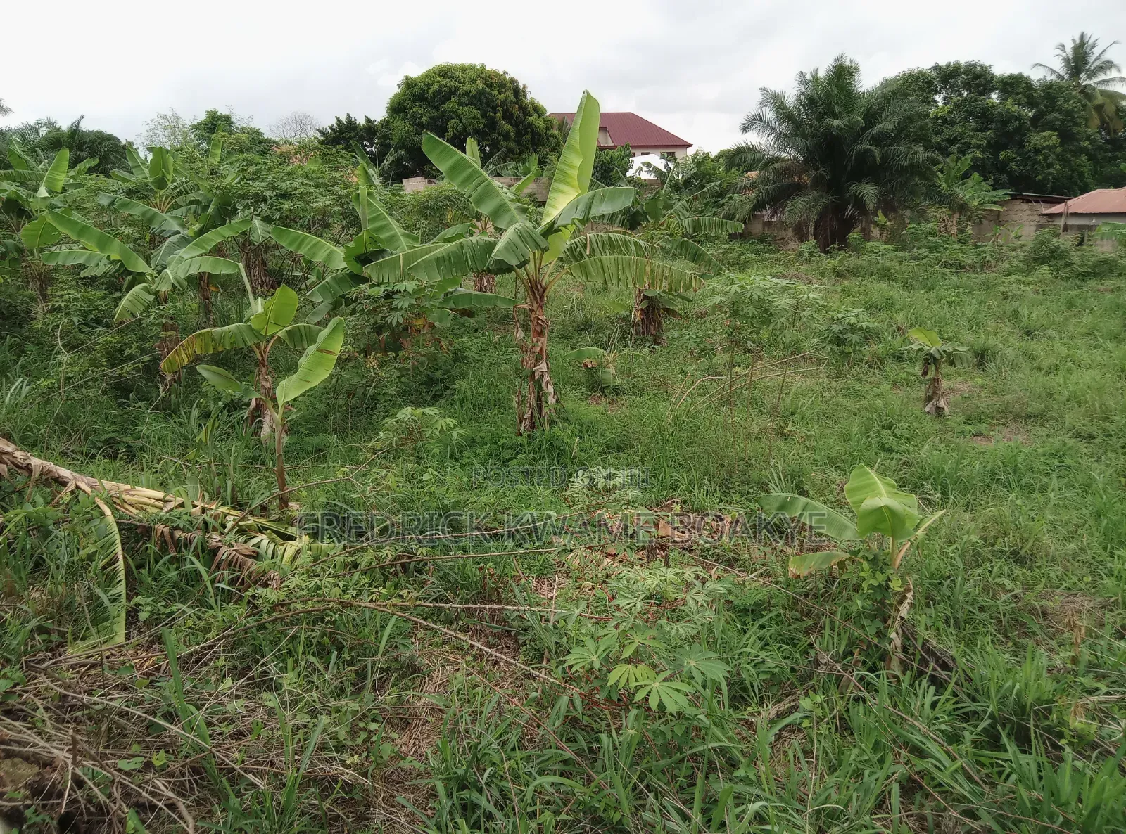 2 Plots of Hotel Land for Sale at Ipt Nyankyereniase