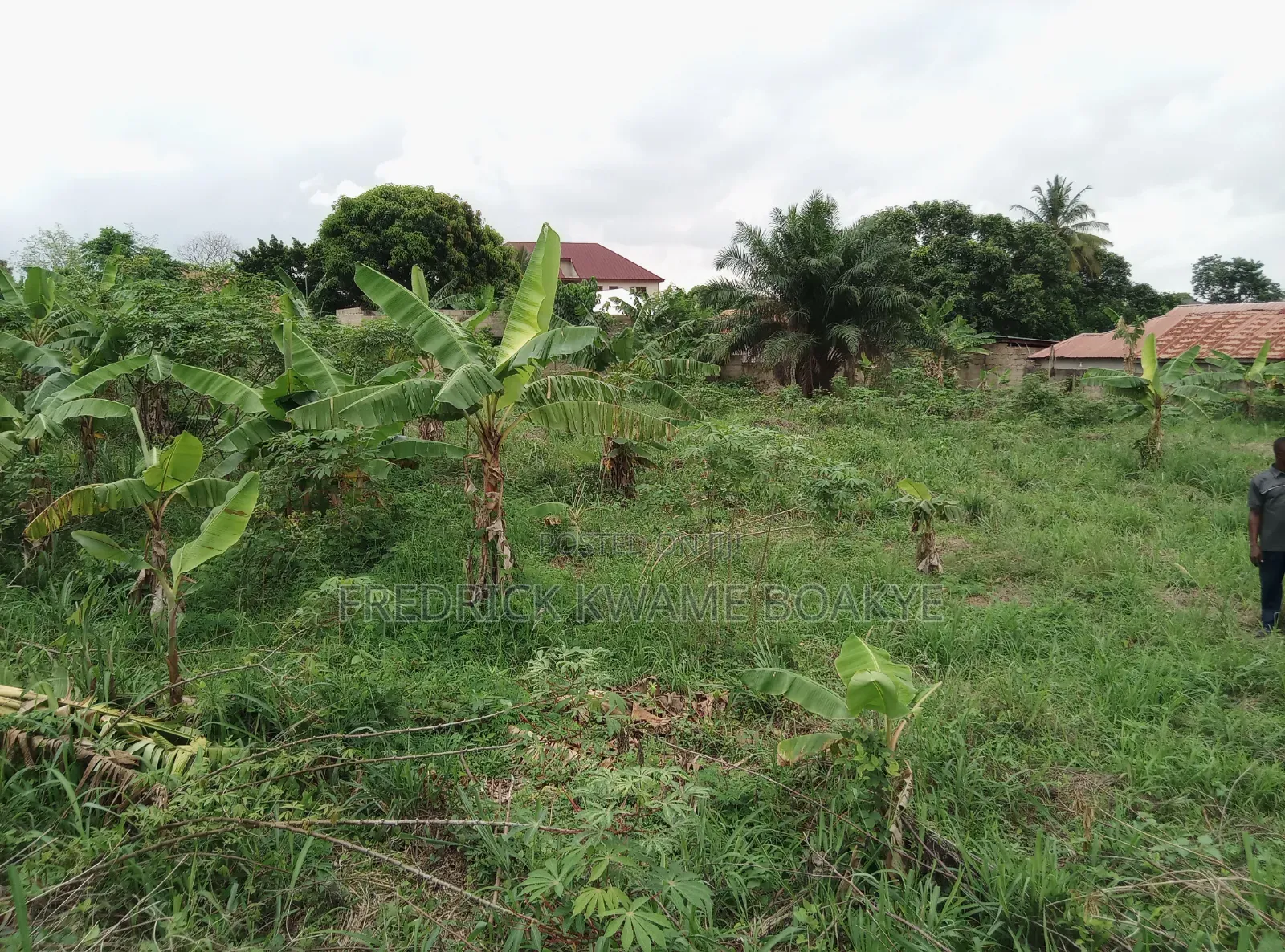 2 Plots of Hotel Land for Sale at Ipt Nyankyereniase