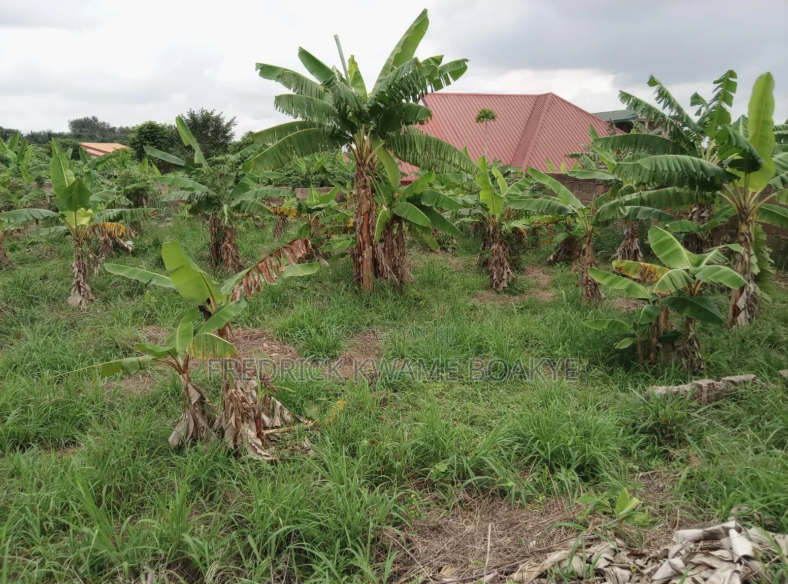 2 Plots of Hotel Land for Sale at Ipt Nyankyereniase