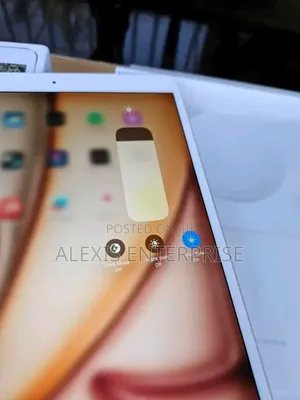 Apple iPad Pro 512 GB Gray