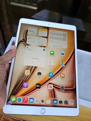 Apple iPad Pro 512 GB Gray
