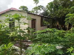Block Factory for Sale at Akotsi in an Estate