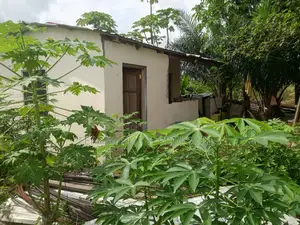 Block Factory for Sale in Kasoa in an Estate