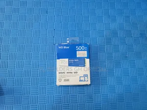 Western Digital Blue Sn570 500gb M.2 SSD – Perfect for Laptop PC