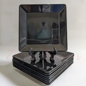 6pcs Square Dinnerplates