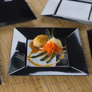 6pcs Square Dinnerplates