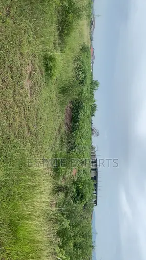 A Registered Land With Land Title Certificate Located in Ayikuma.