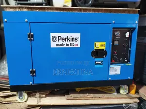 Perkins Diesel Generator