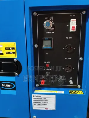 Perkins Diesel Generator