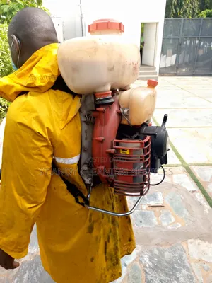 Fumigation for Cockroach, Wall Gecko, Ant's, Spider and Mouse