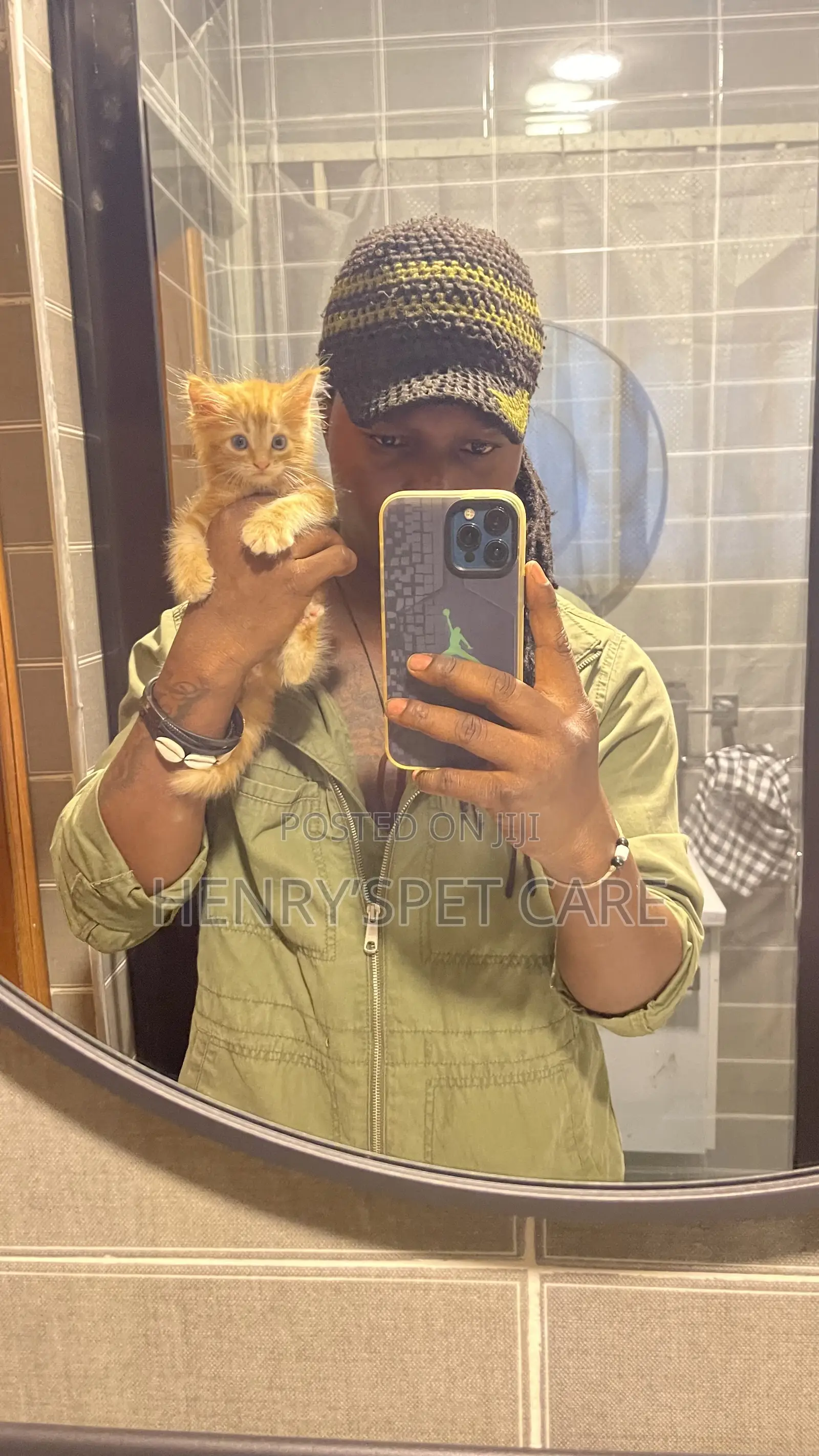 1-3 months Male Purebred Maine Coon