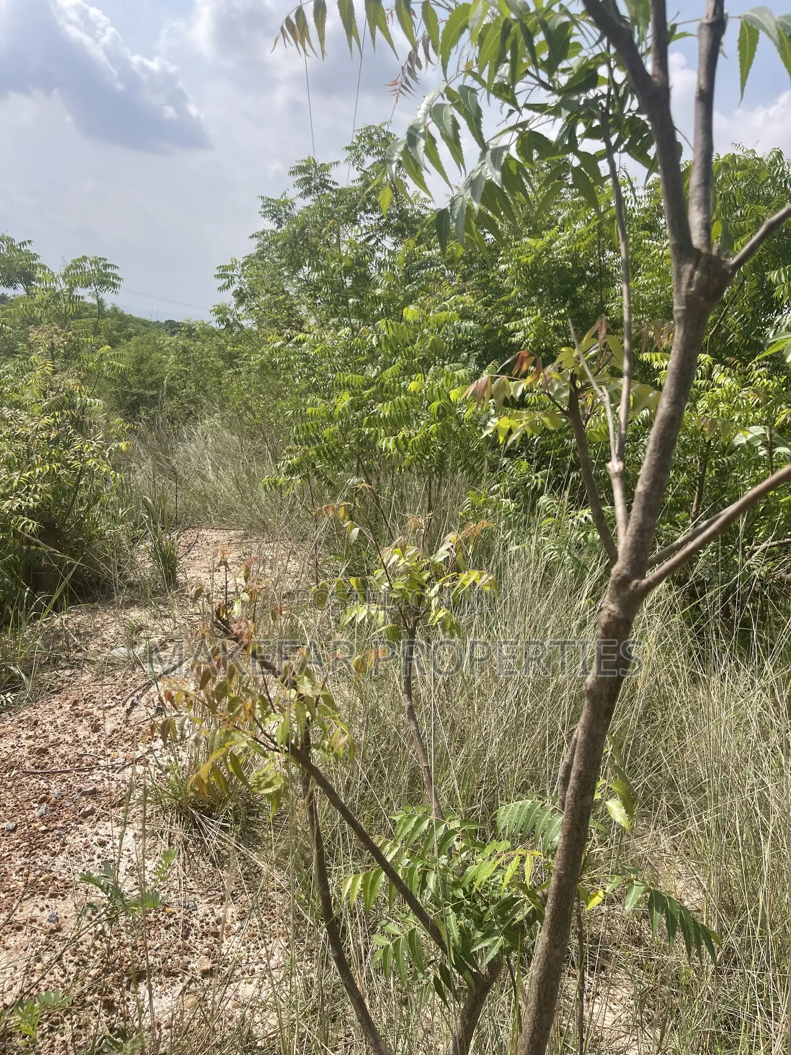 Plot of Land