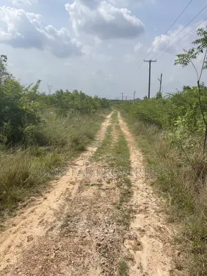 Plot of Land