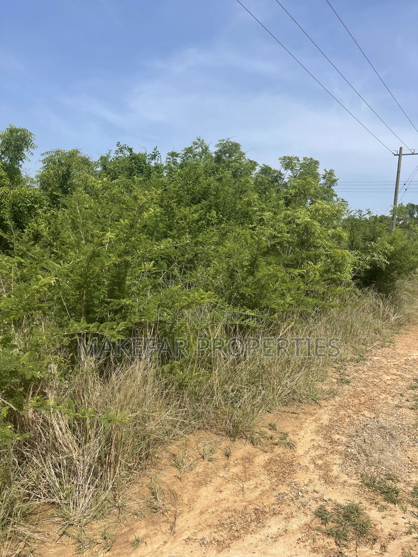 Plot of Land