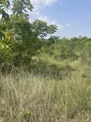 Plot of Land