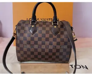 Louis Vuitton Speedy Monogram 25 Women’S Handbag