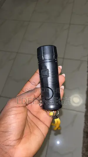 2 In 1 Torch And Personal Security Alarm