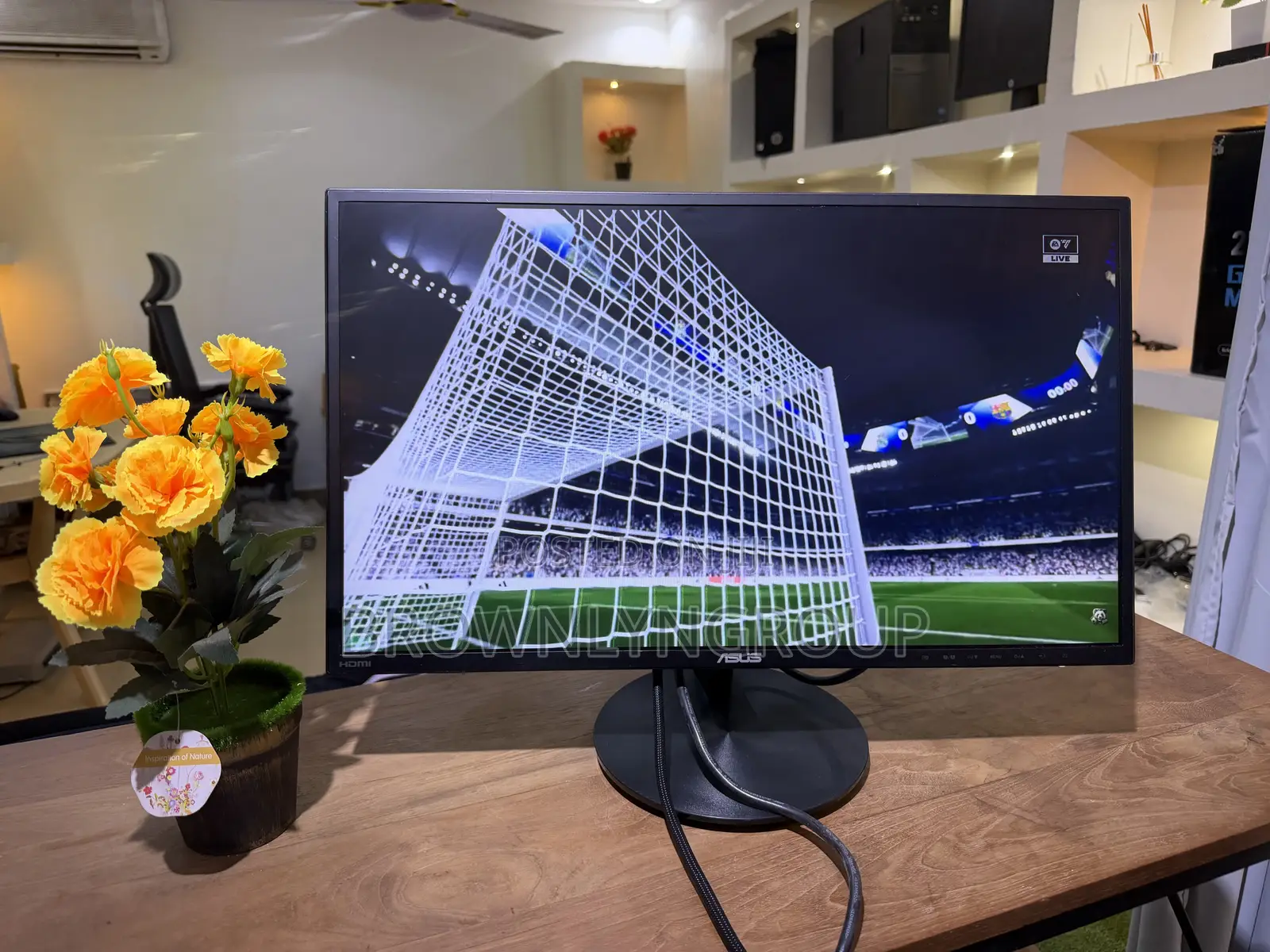 Asus 24” Ips Monitor