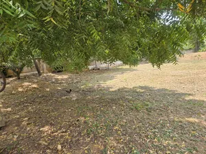 Prime Area Roadside Land Available for Sale at Tema Motorway* 5 Acers