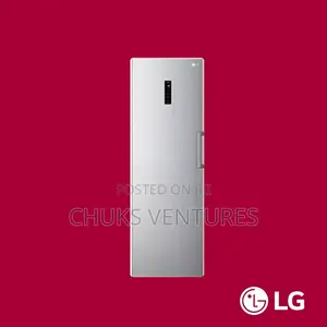 Lg Standing Freezer 324l (Frz 414elfm-B)