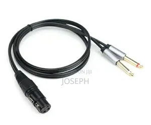 XLR to Double Jack Cable