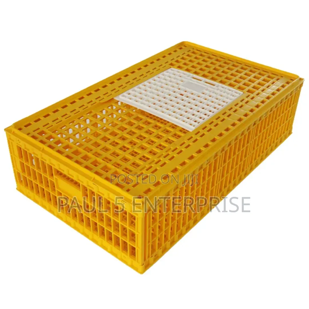 Big Size Transport Basket