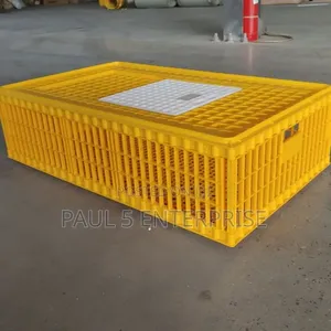 Big Size Transport Basket