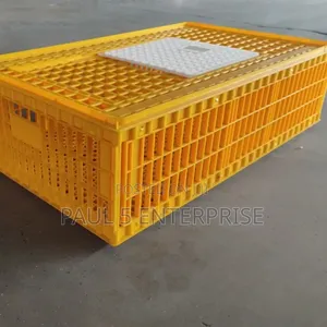 Big Size Transport Basket