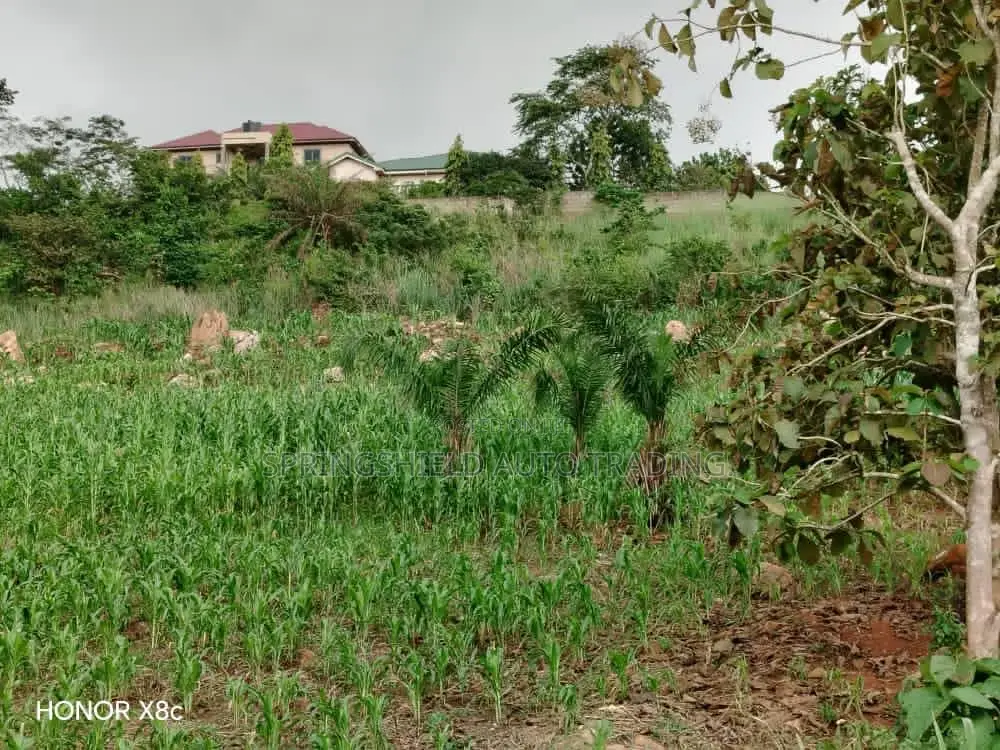 Plot of Land at Peduase