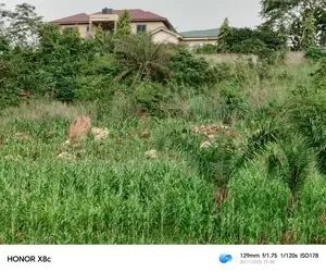 Plot of Land at Peduase