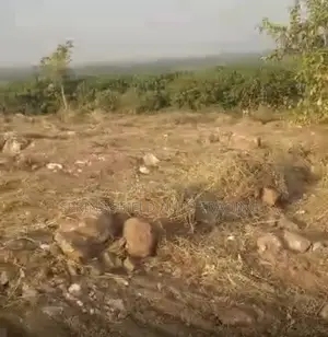 100 Acres of Land at Somanya for Sale