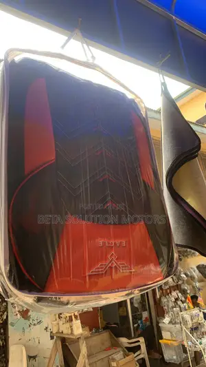 Seat Covers and Carpet