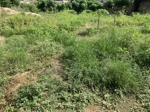 Acres and Plots of Land Located Between Aburi and Adawso