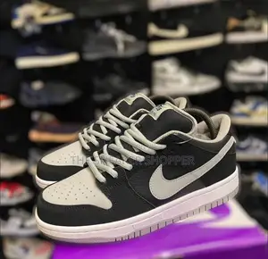 Nike Sb Low Dunk Ash and Black