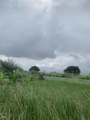 Half Plots for Sale or Swap With a Car
